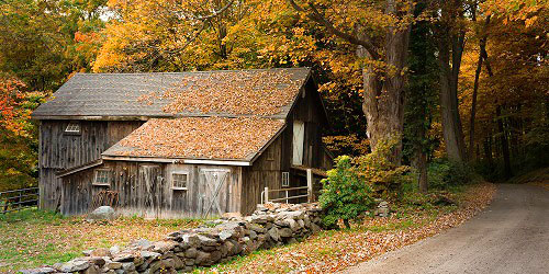 Dirt Roads Are Down To Earth - Litchfield County, CT in Fall