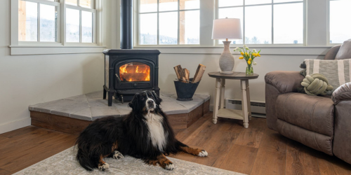 Pet and Dog Friendly