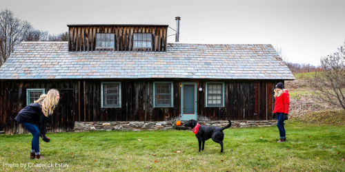 Pet & Dog - TLTUSA by Etsey